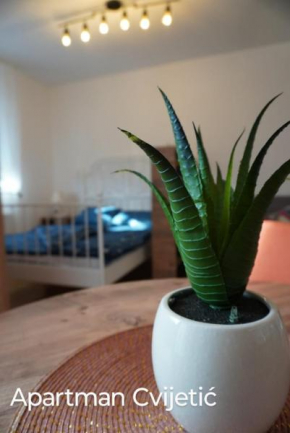 Apartman Cvijetić
